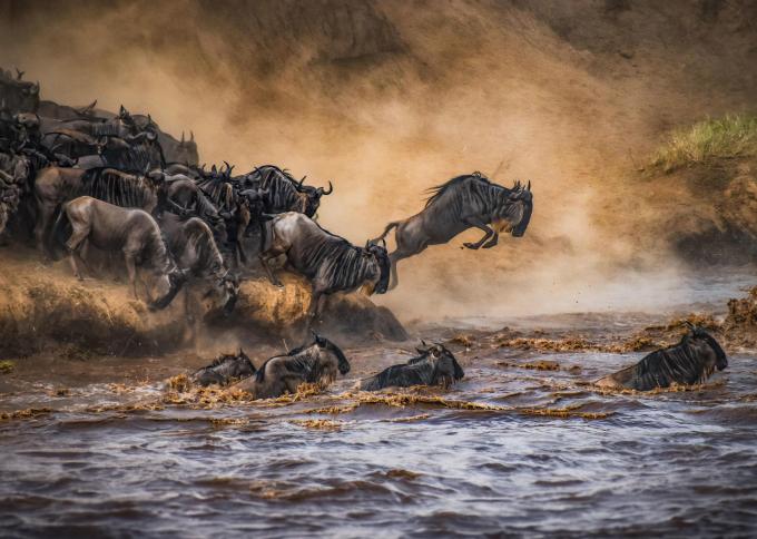 Pod Niebem Samburu i Mara: Prywatna Ekspedycja do Serca Afryki